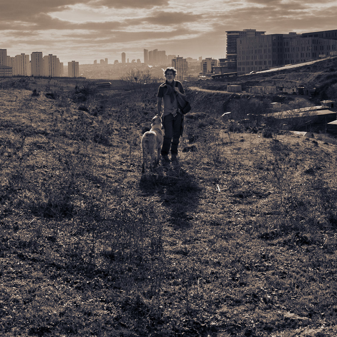 the site of Spradon: Selçuk and our day-dog