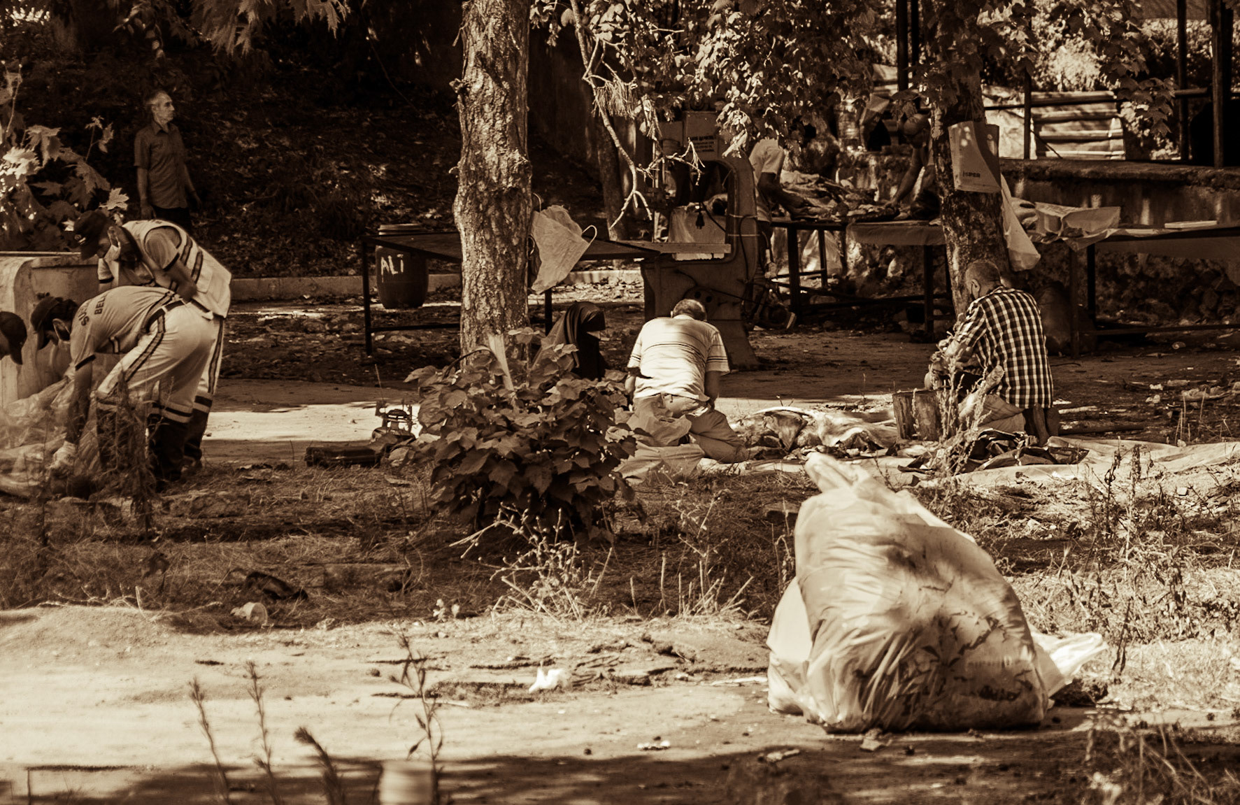 Cebeci: cutting just-slaughtered meat (the slaughtering place is behind)