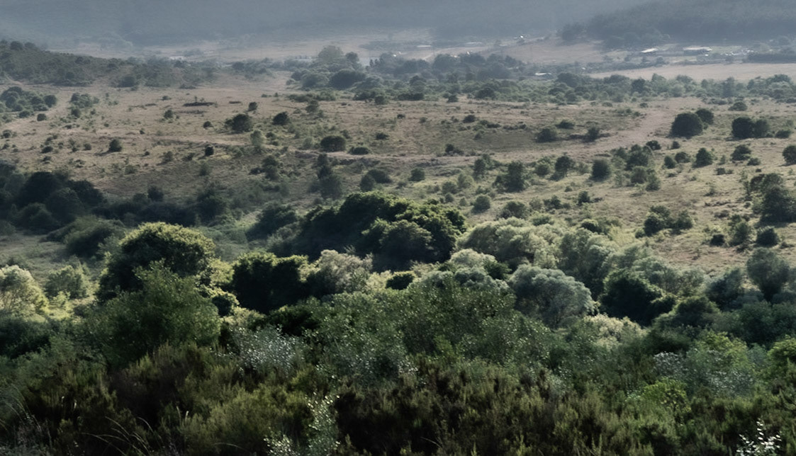 Ortadaǧ large hill: view