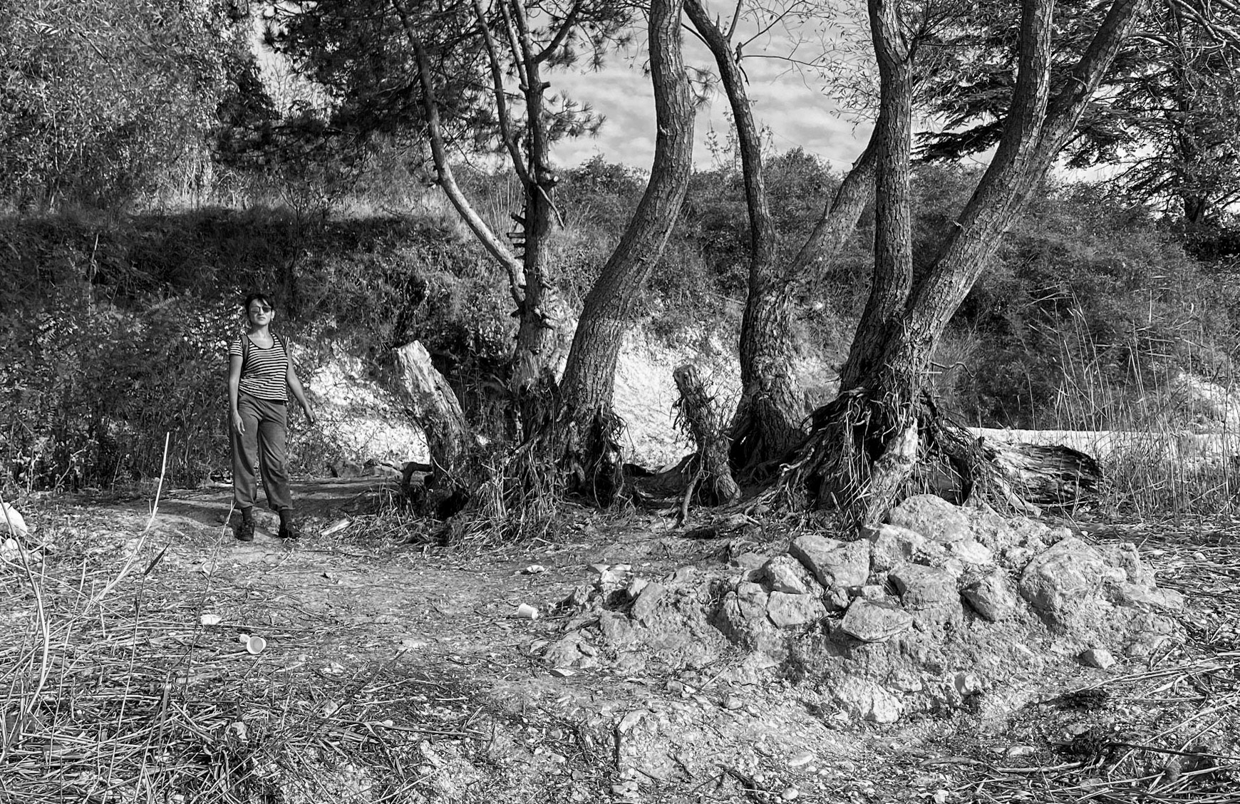 Trikos promontory: Seda and trees