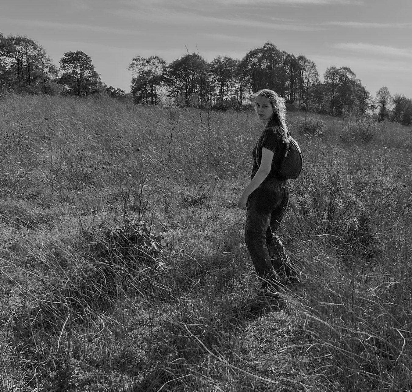 A clearing: a look back