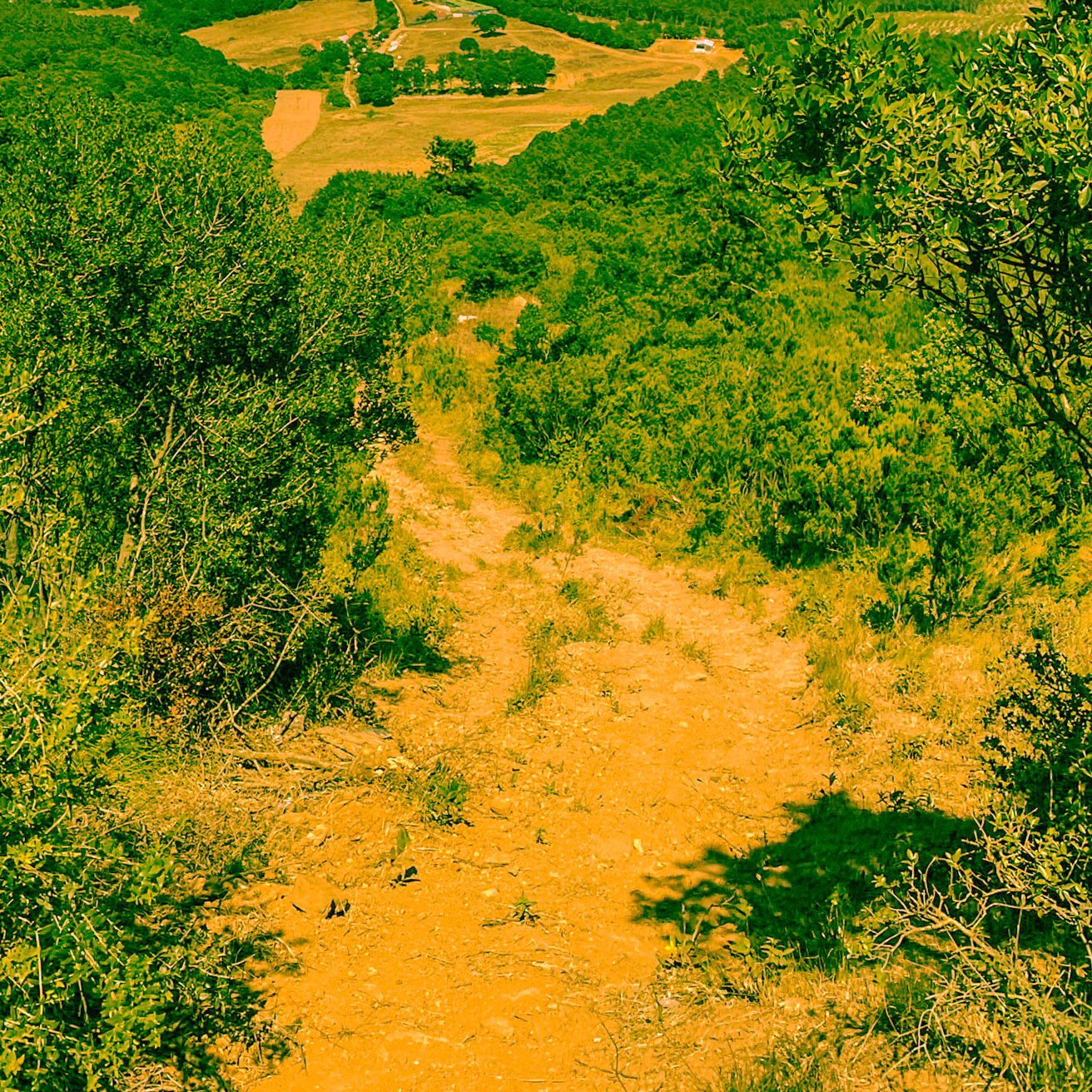 Kayışdaǧ tepesi: the steep descent from near the top