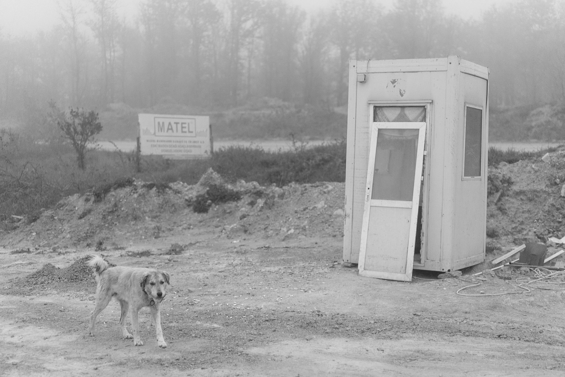 east of Deǧirmen reservoir: our remaining day-dog on the motorway under constructiona