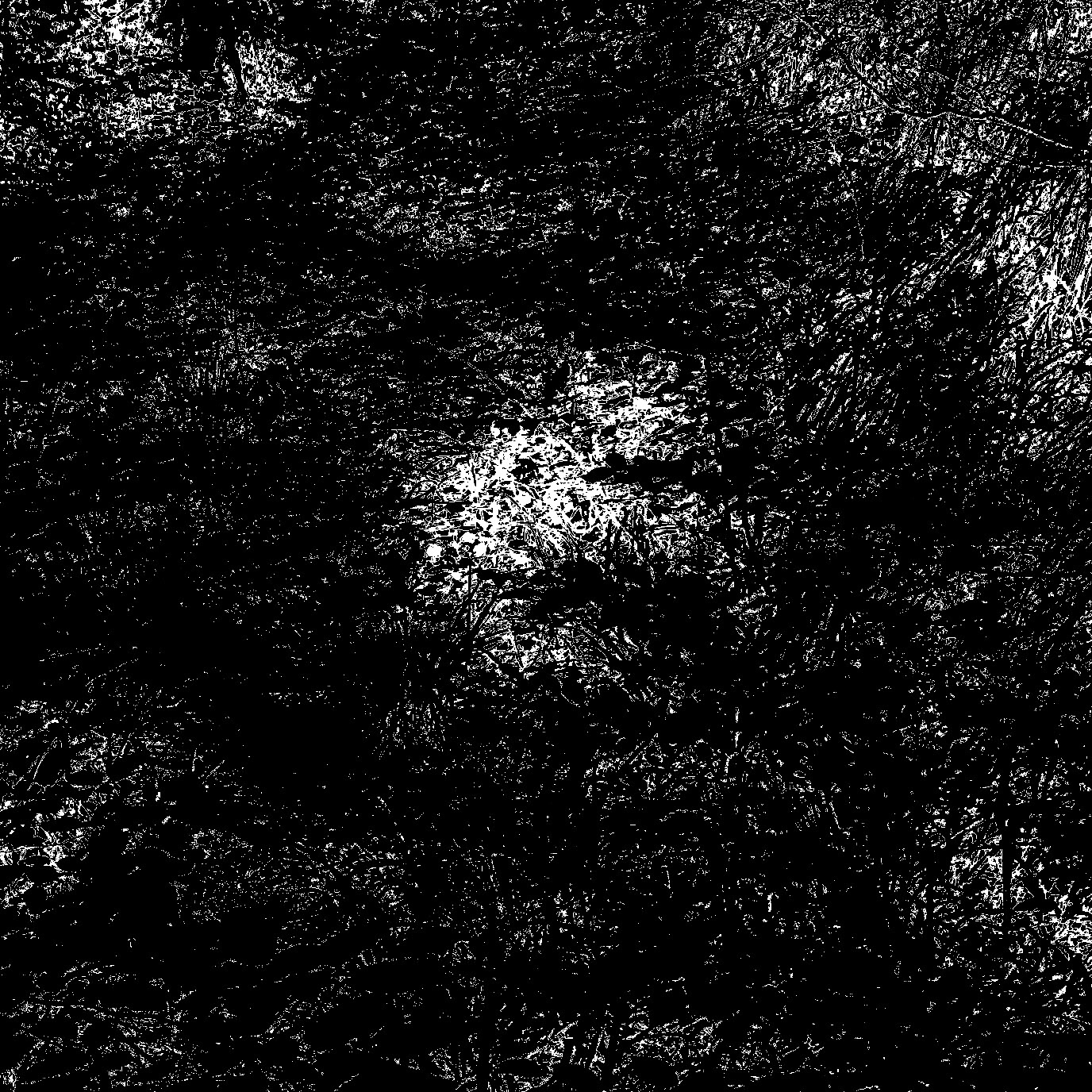 Kanlı reservoir: chiaroscuro