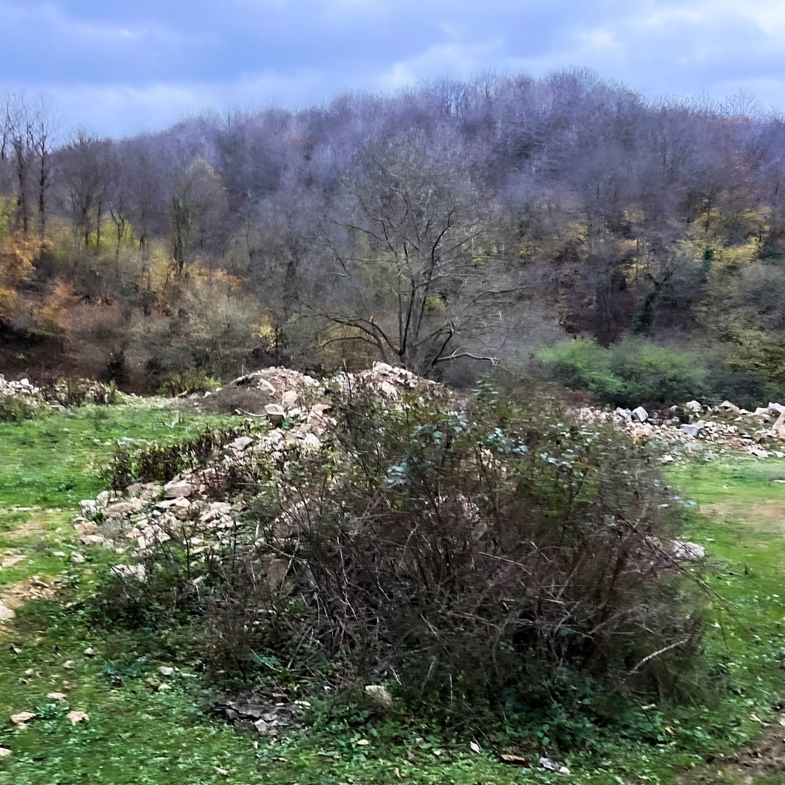 Akbaba old woods: greening rubble heaps