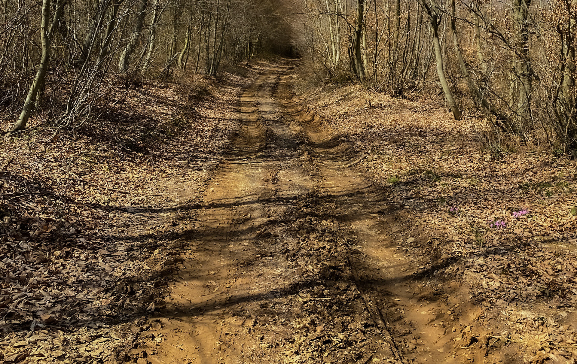 Mahmut Şevket Paşa's hills: a track