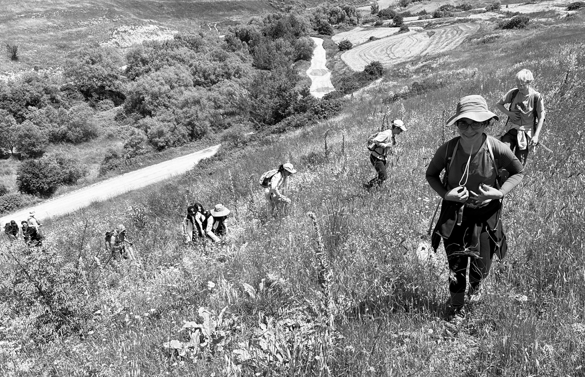 Filiboz poppy meadow: coming up a bank