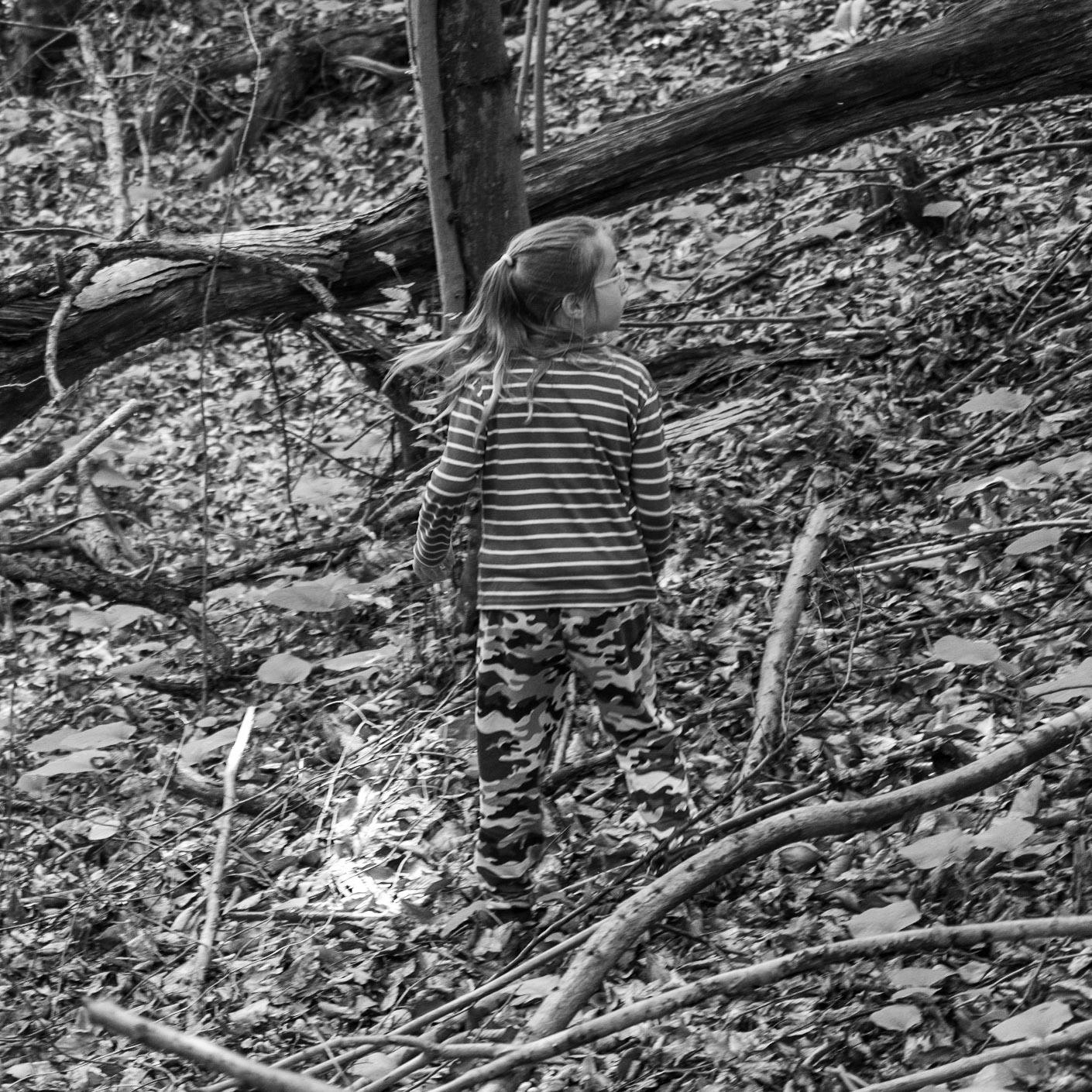 Zerzevatçı woodland: Maya
