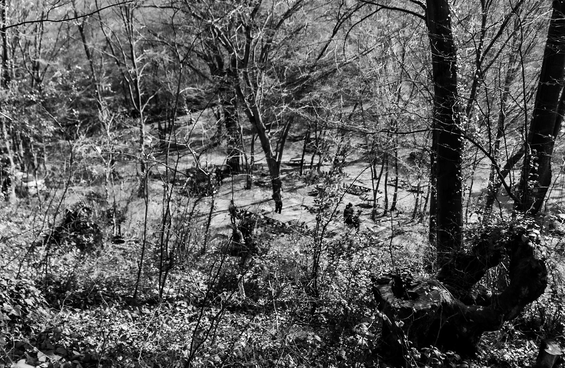 Kaymakdonduran woods: picnic area with the new fence behind