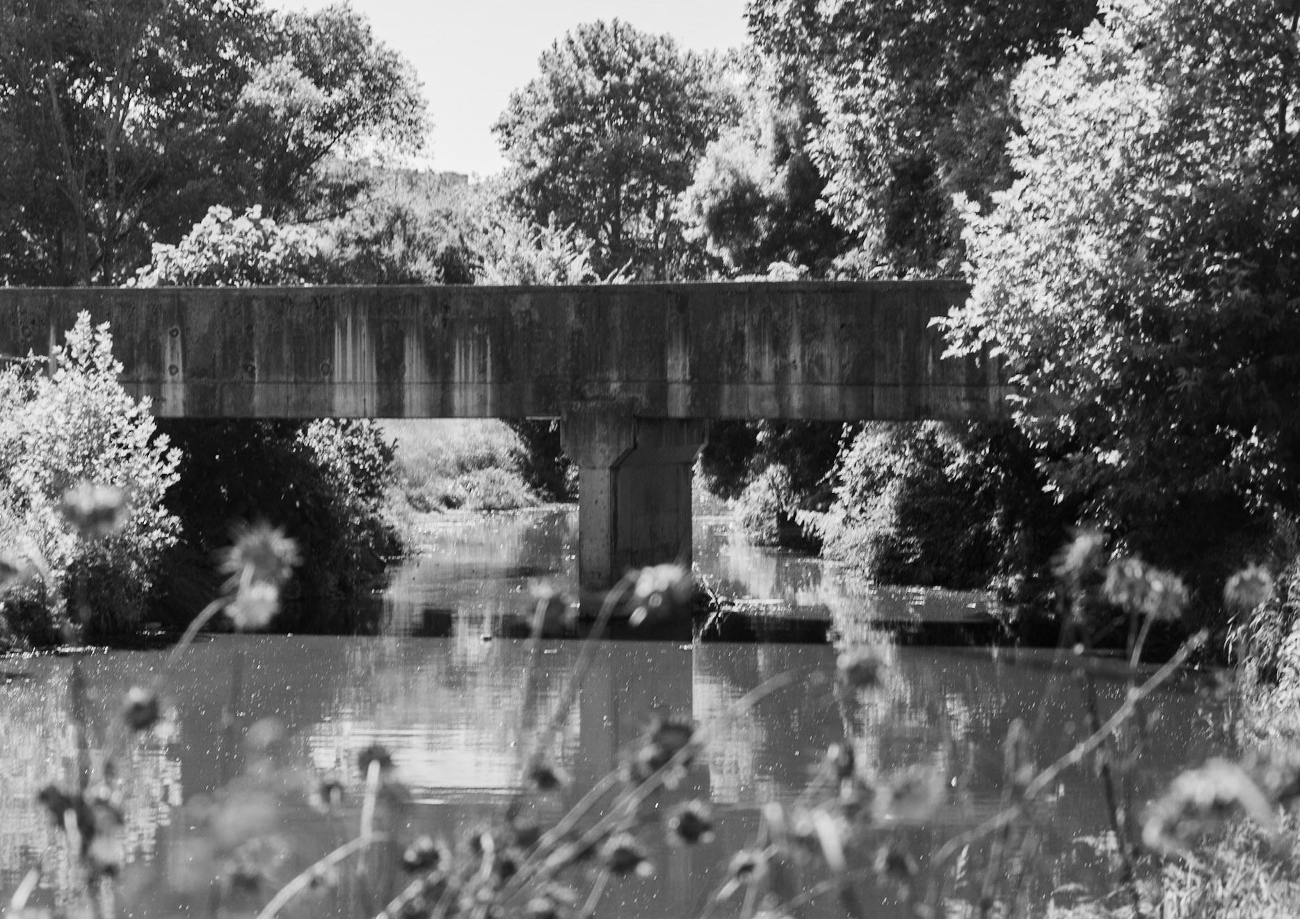 Ayazma river: modern aqueduct