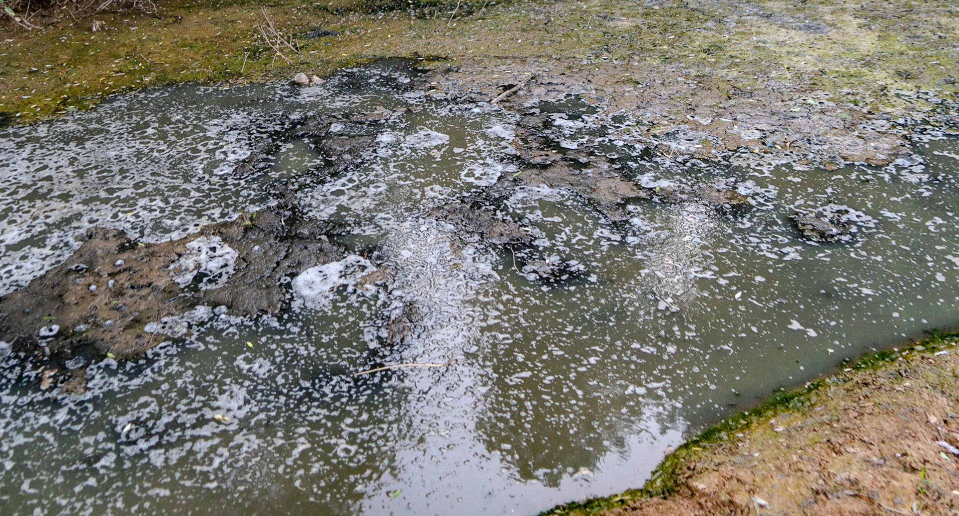 Üçüz woodland: dirty water