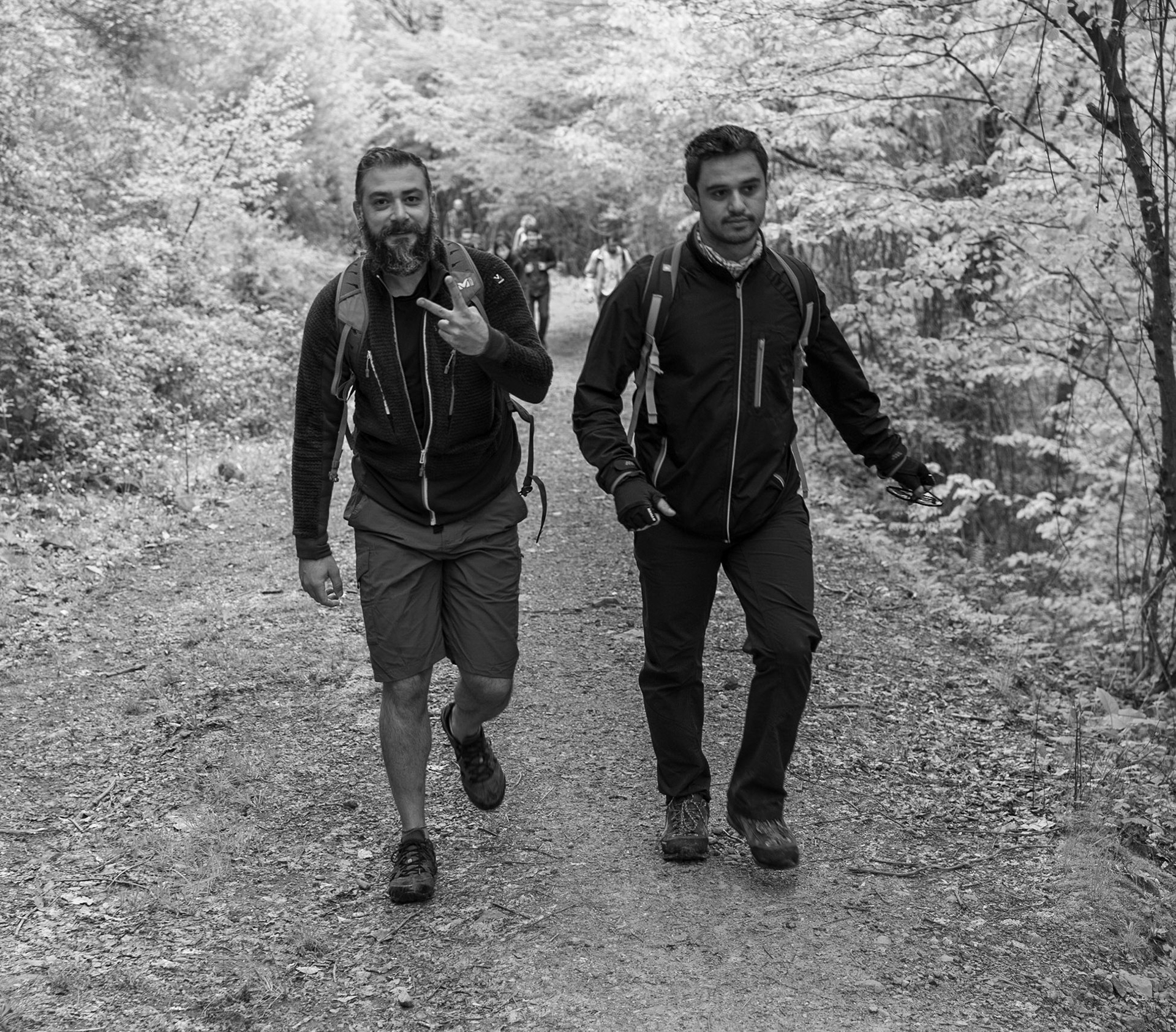 between Bozhane and Kılıçlı Köyü: cheeky hikers