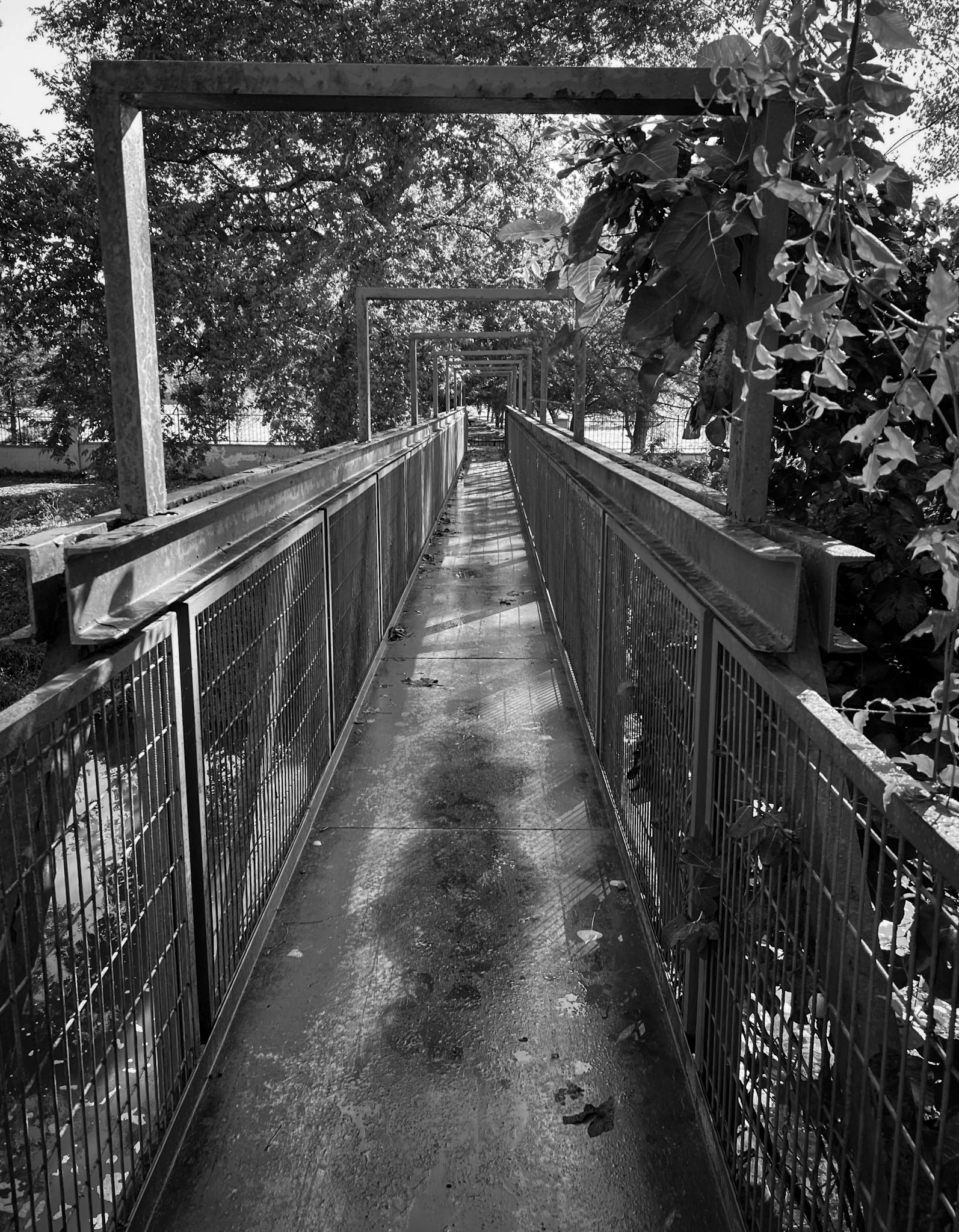 between Öğümce and Bozhane: the footbridge over the Riva river