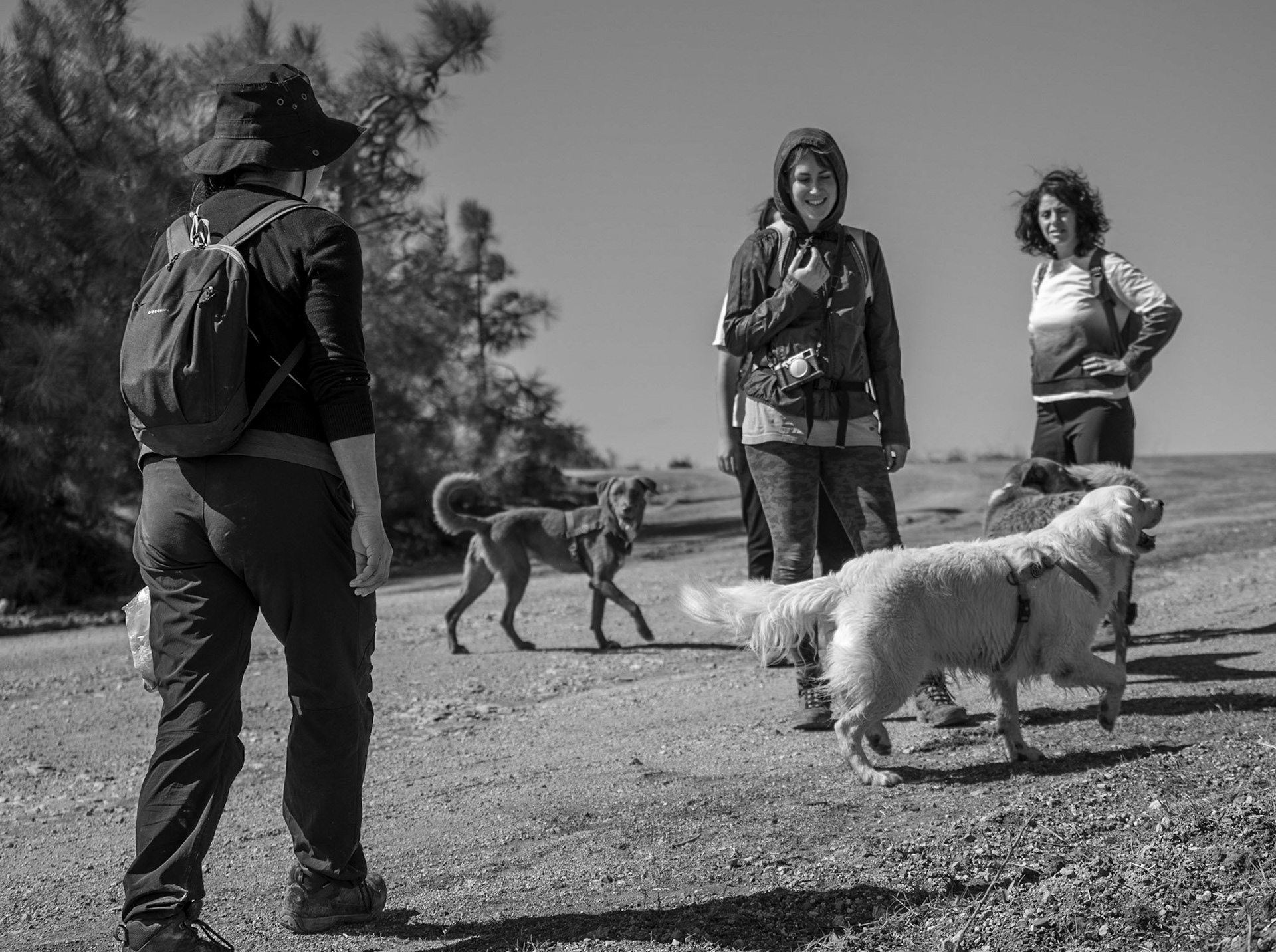 heading west along the line of the Black Sea: Zhen, Tasha, Talin and dogs