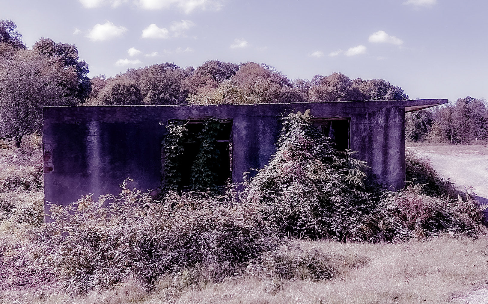 Mahmut Şevket Paşa southern forest and hills: ruined modern structure