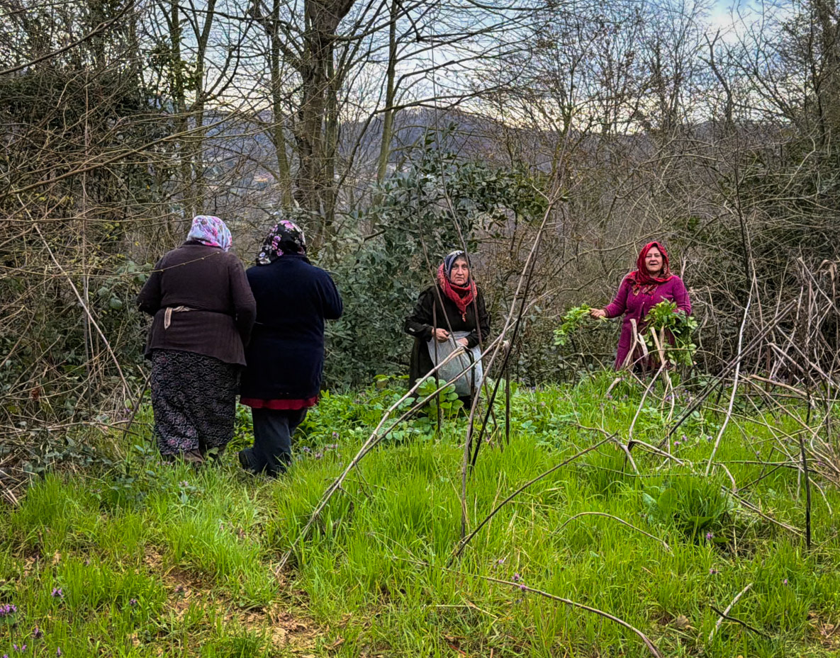 Dereseki forest traverse: before the beeline descent we pass a mostly-happy group of local women gathering plants and herbs
