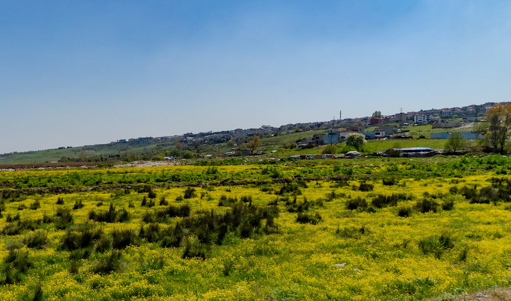 Küçükçekmece SW marsh: view towards Firuzköy (I think)