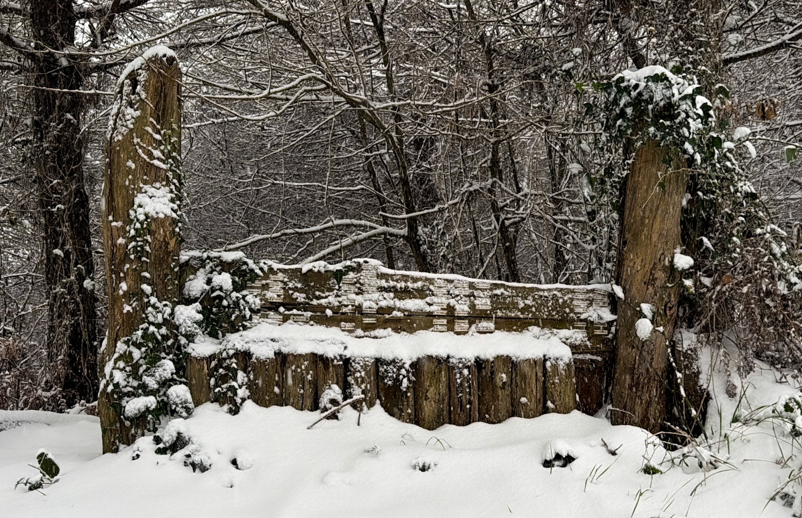 NE Belgrade Forest: mysterious memorial