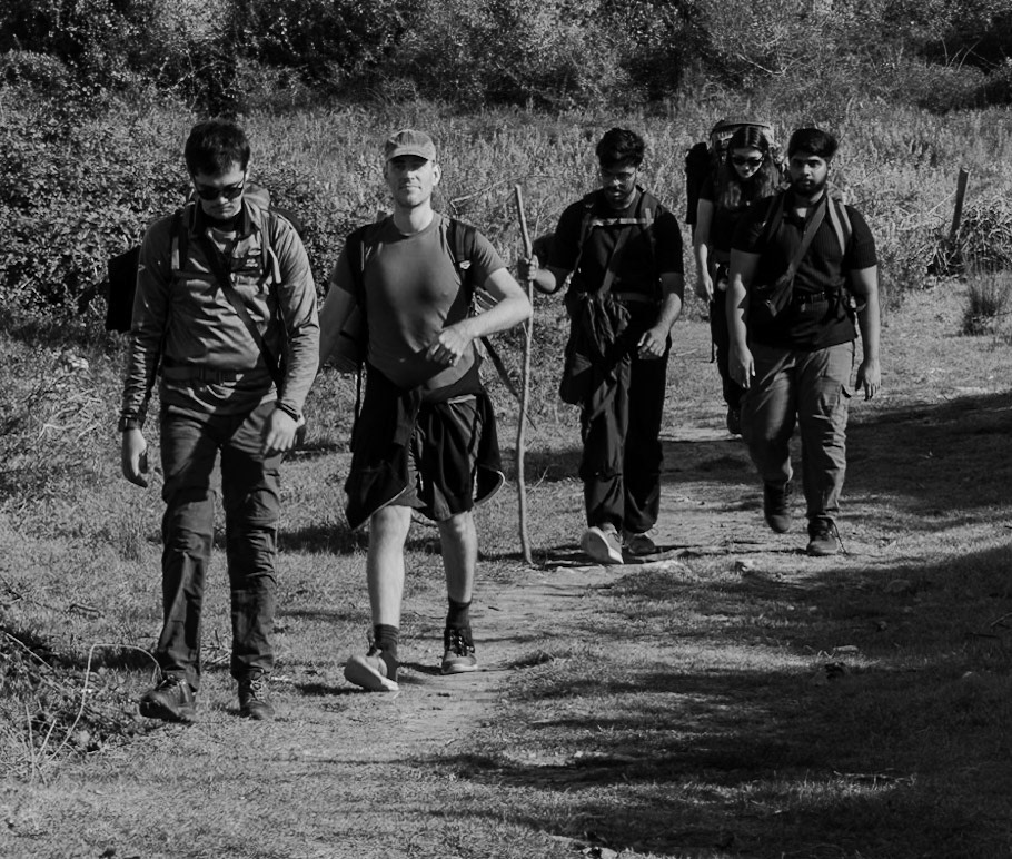 Doǧancılı western forest: the hikers today