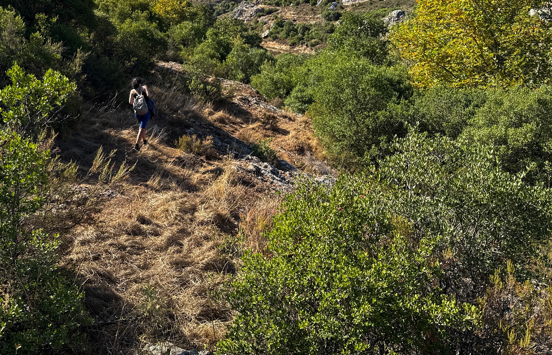 Paşaköy gorge: Defne strides ahead