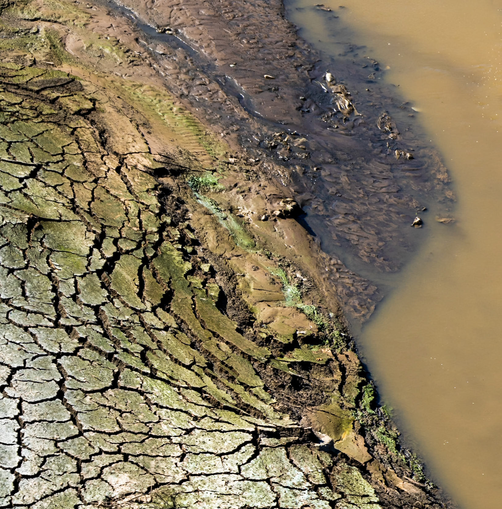 Paşaköy gorge: mud and water