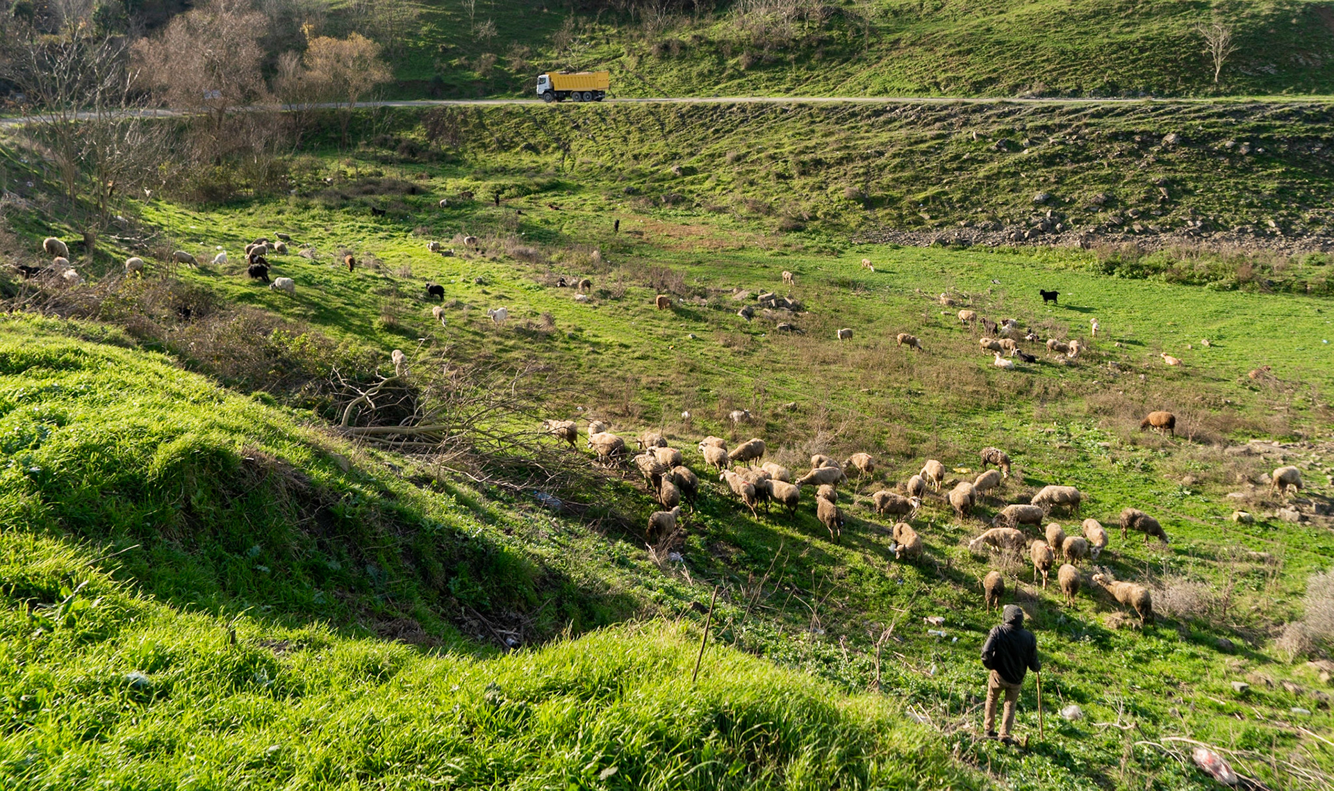 Şamlar: a shepherd and his flock in the dry Sazlıdere reservoir bed south of the village