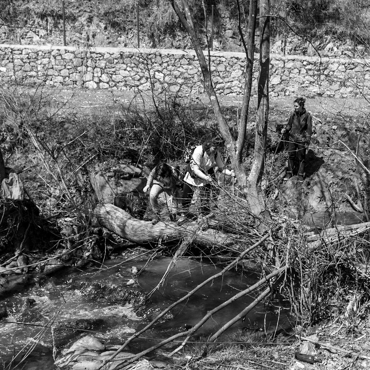 Zerzevat stream valley: crossing over a tree bridge
