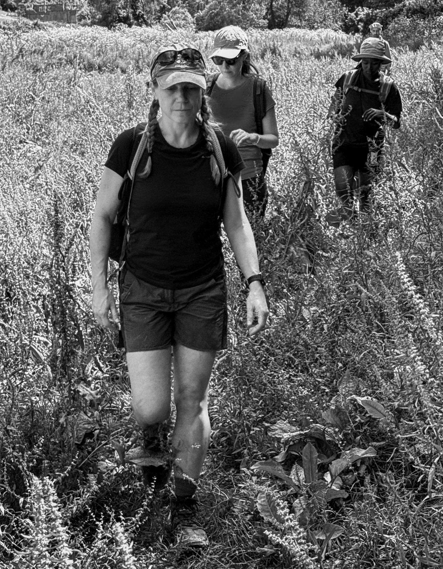 Değirmendere valley: making our way along a somewhat overgrown path