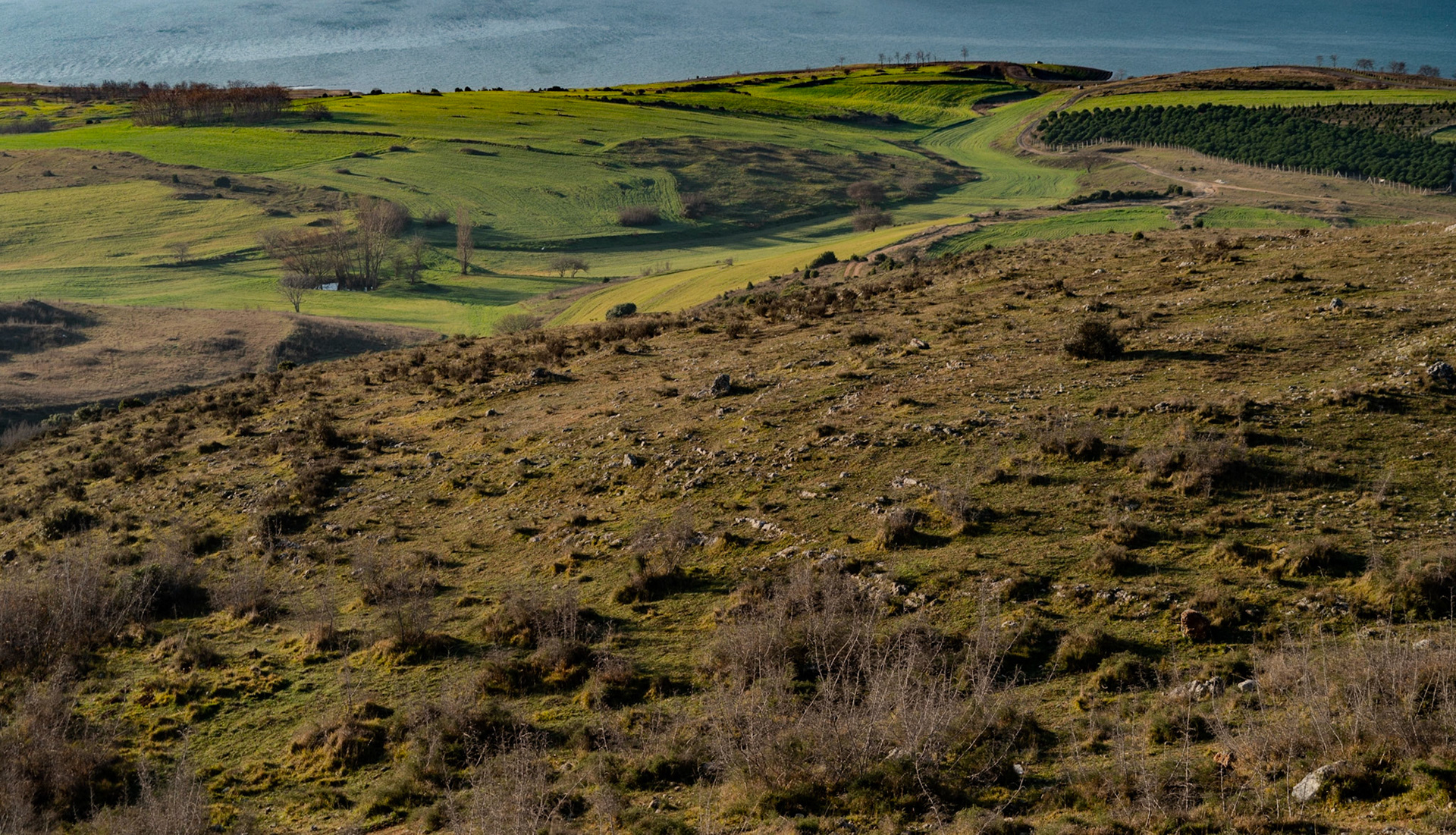 Kocabayır Hill - early morning recce: view west