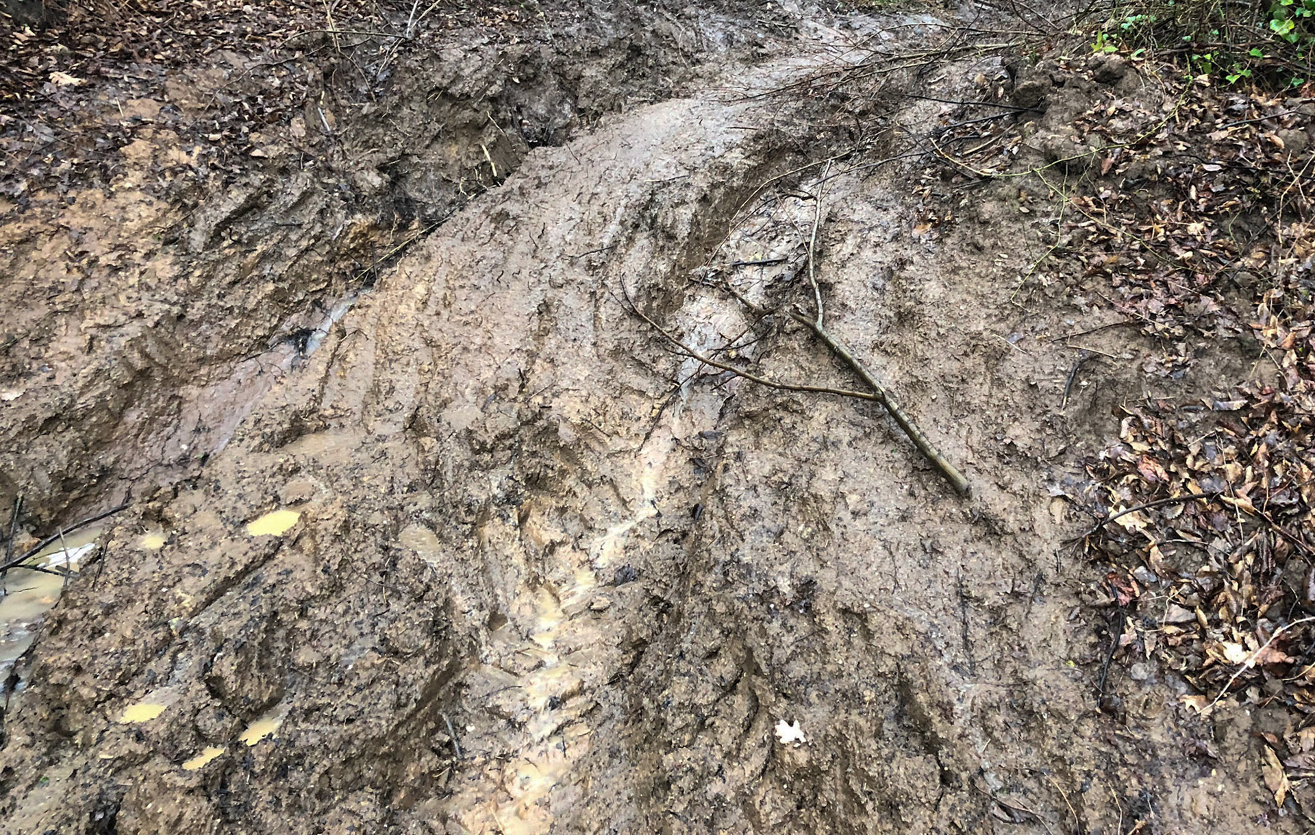 between Kaynarca and Akbaba: a muddy track