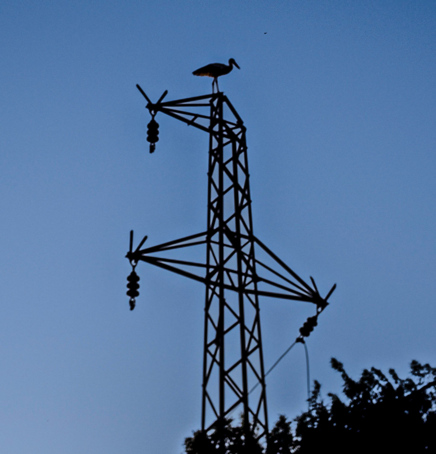 Şamlar: a stork on a pylon