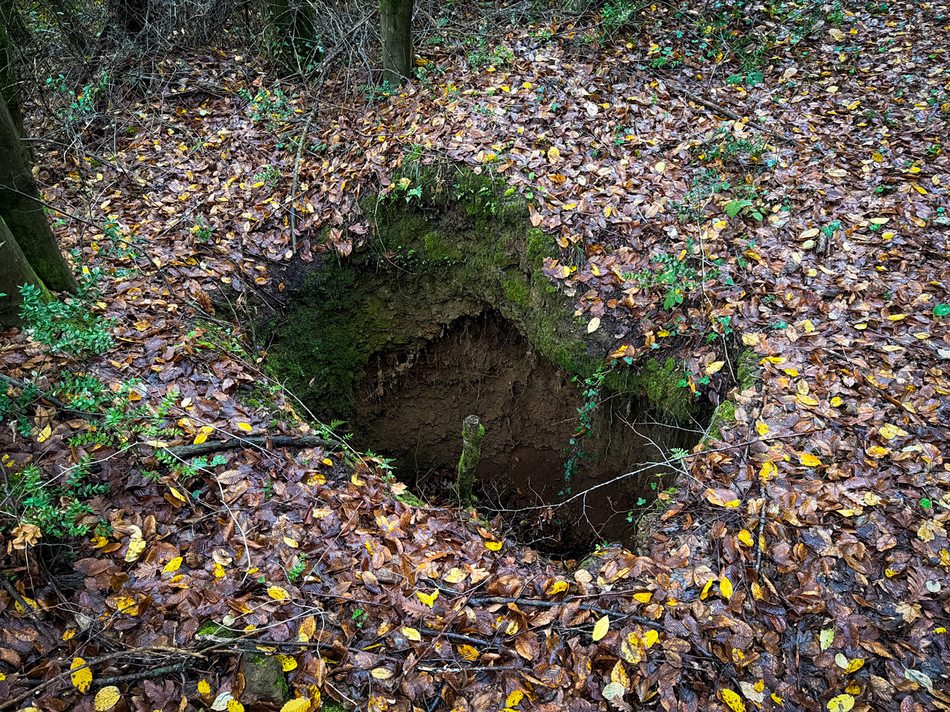 Çanakçı woodland: dangerous pit