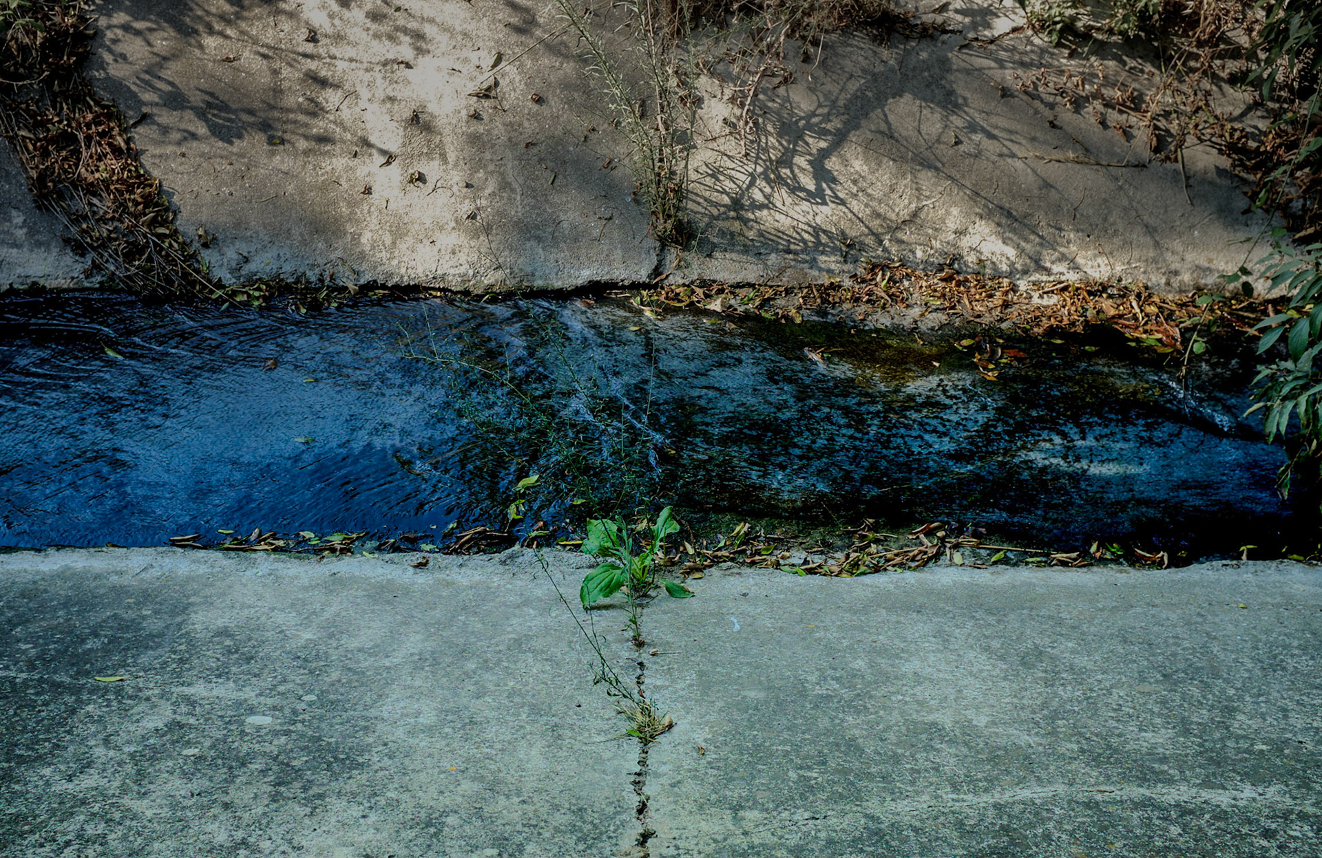 inside Istanbul University's agricultural faculty land: a canalised stream