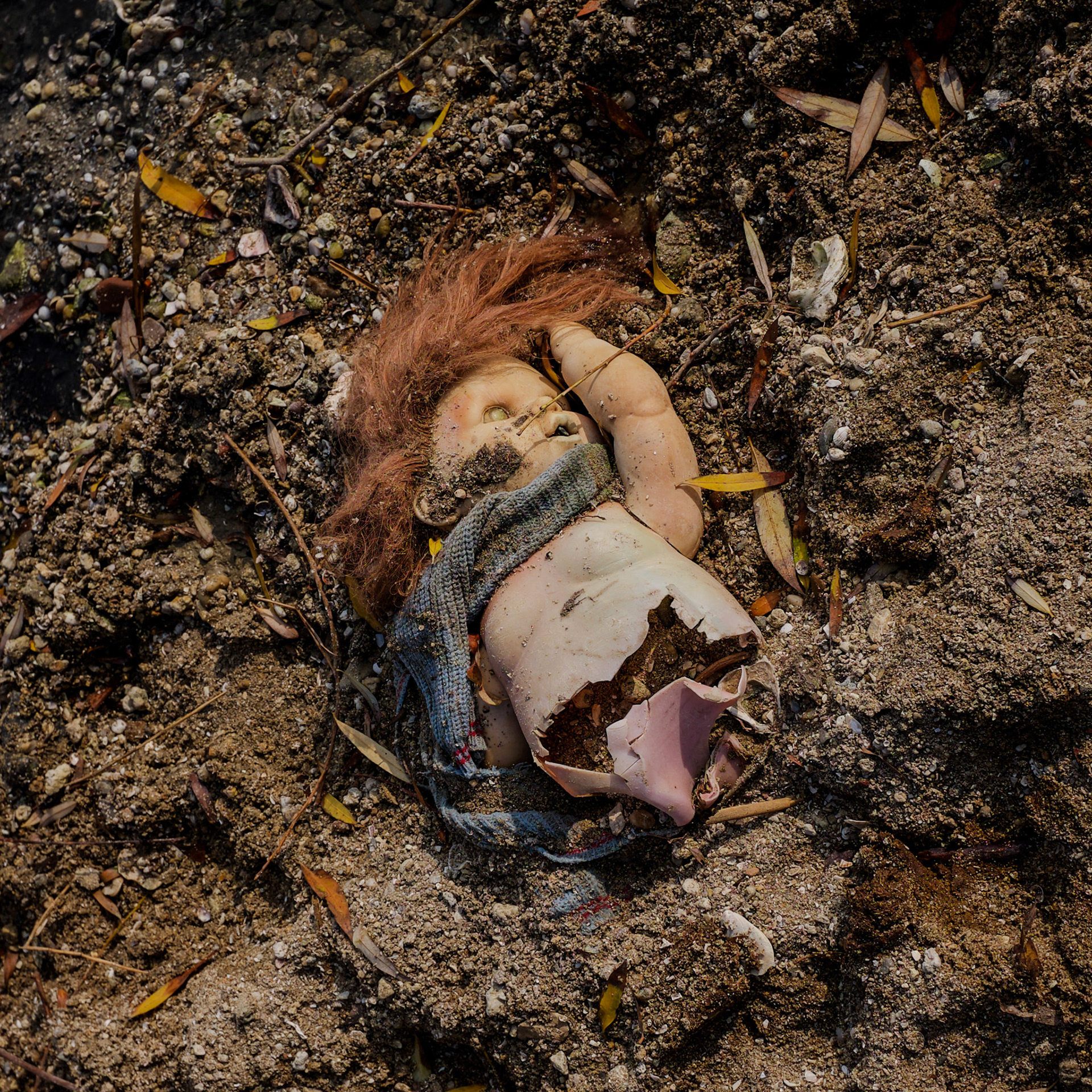 on the southwestern edge of Küçükçekmece lake on Istanbul University Agricultural Faculty's land: an echo of Aylan Kurdi's tragedy