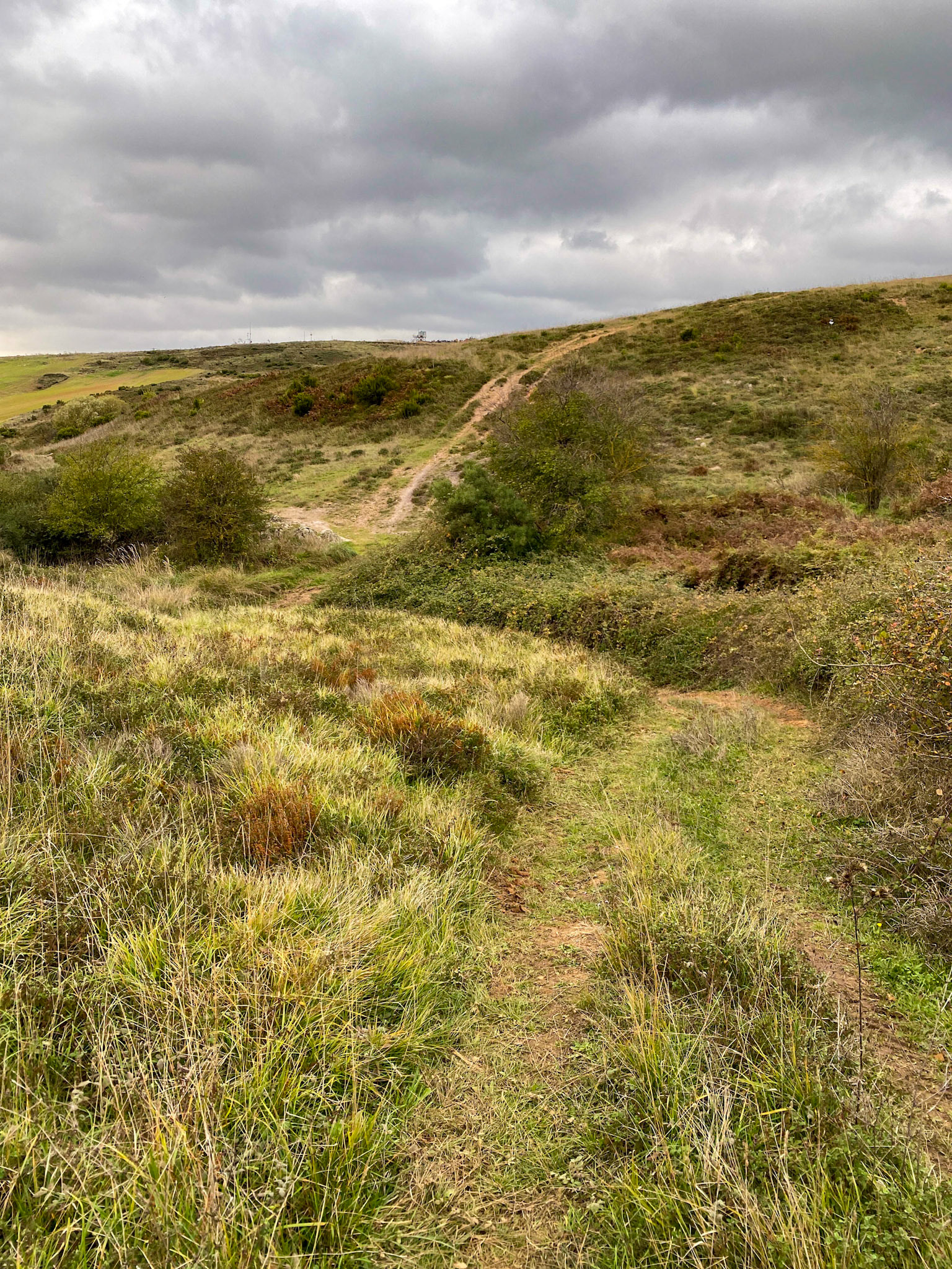 Nişantepe valley: grassy track