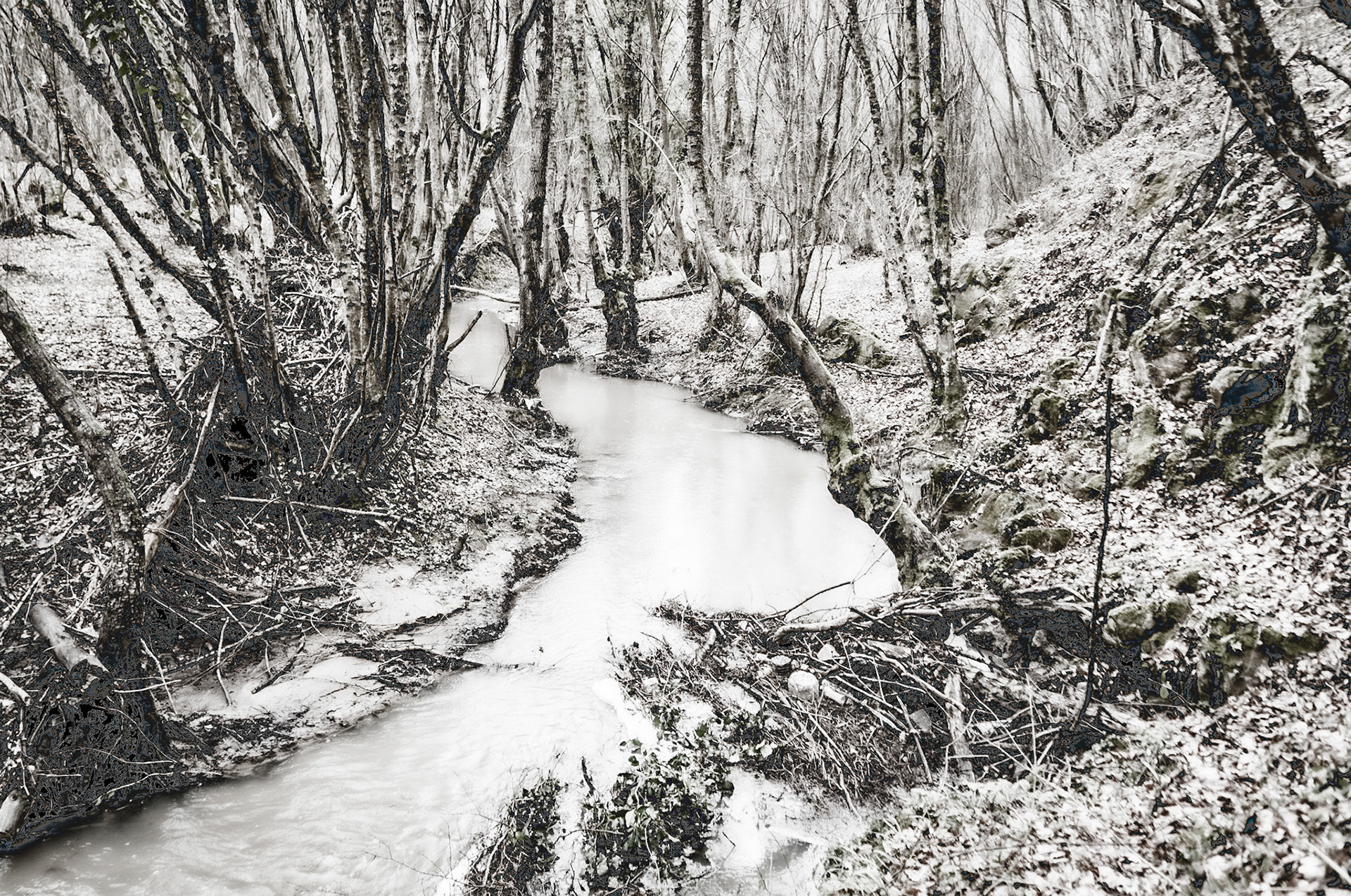 Kozu Deresi valleys: stream and trees