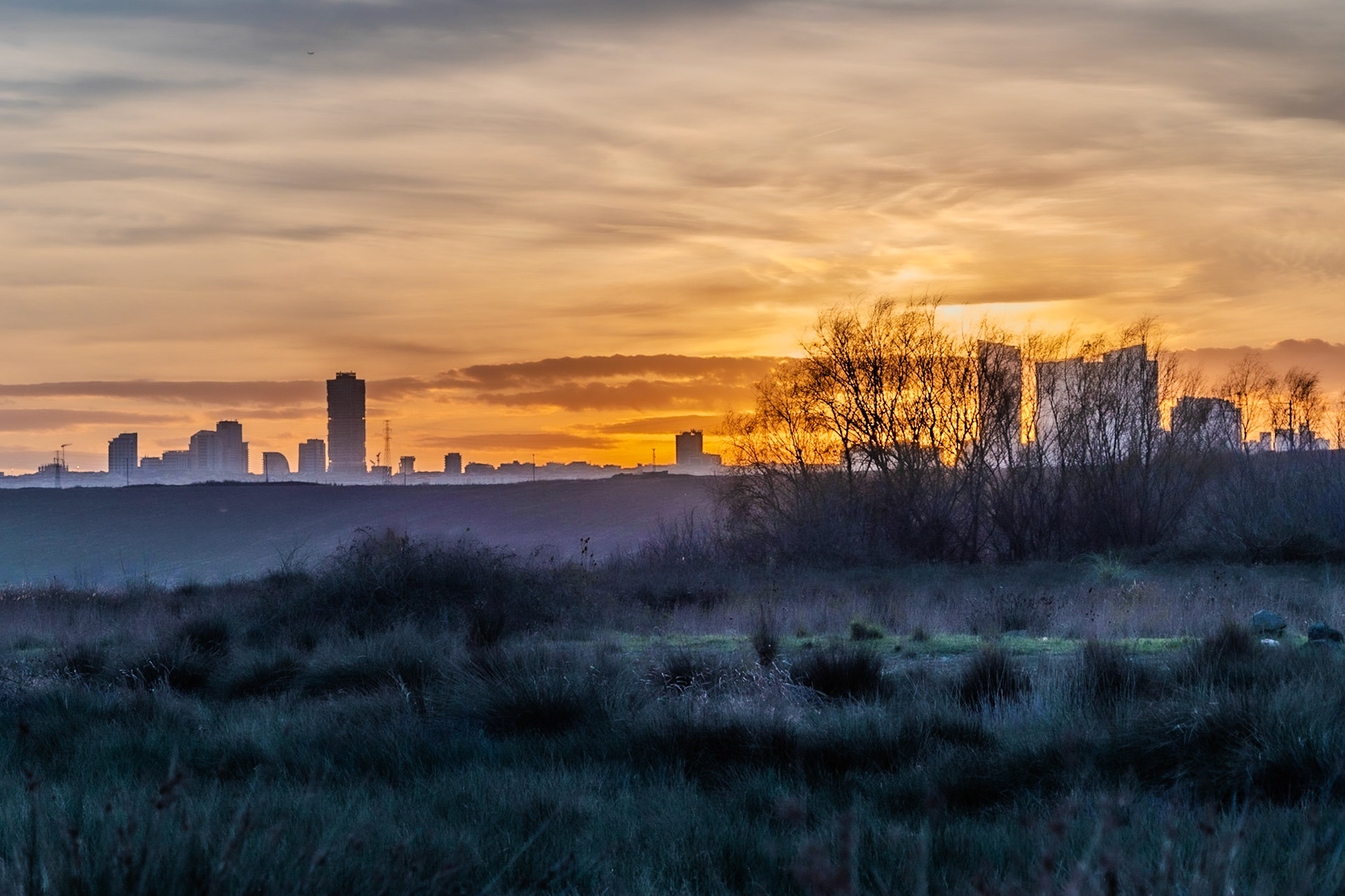 Küçükçekmece northwestern marsh: sunset over Esenyurt (?)