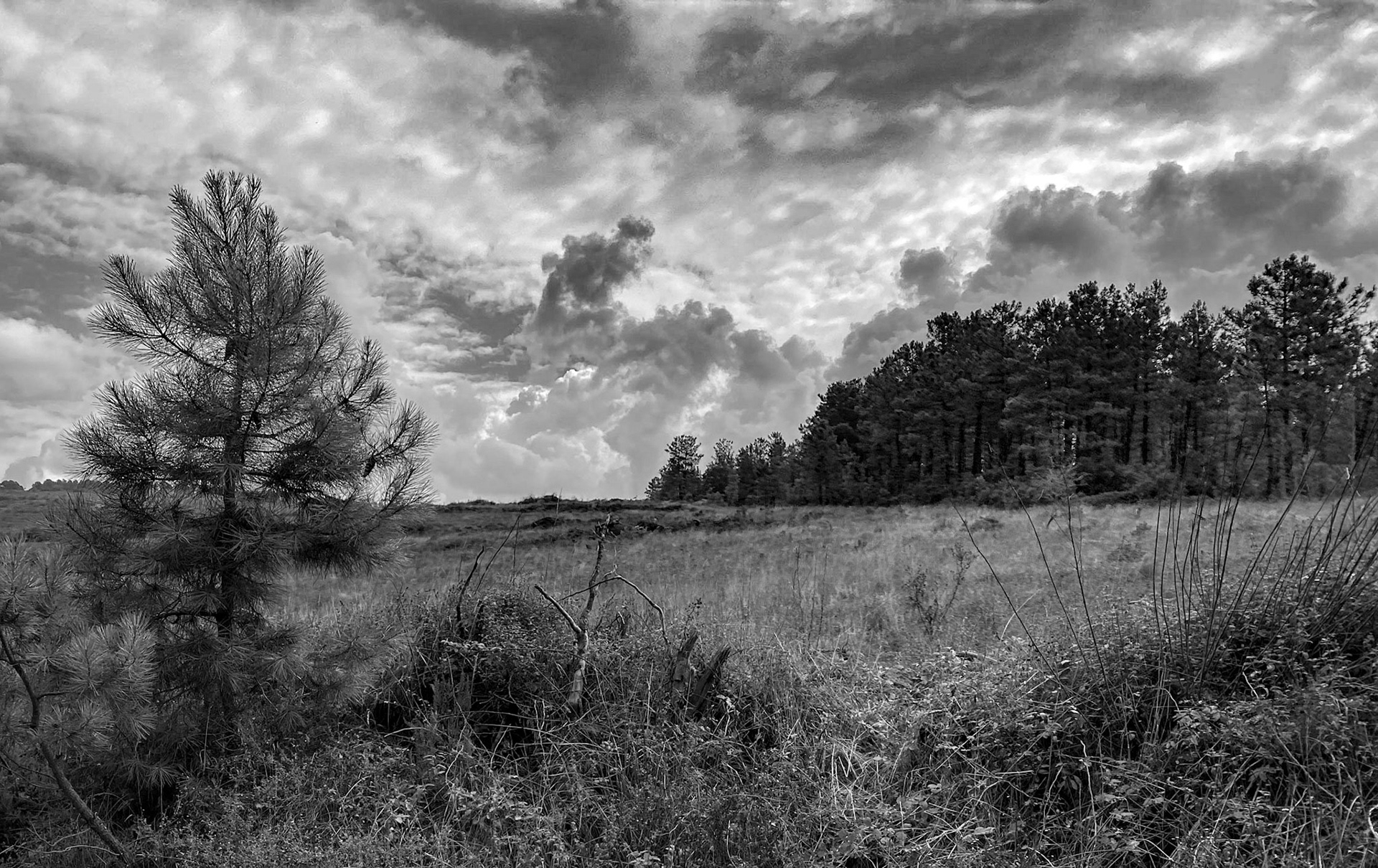 between Göçbeyli and Ballıca: cloudscape