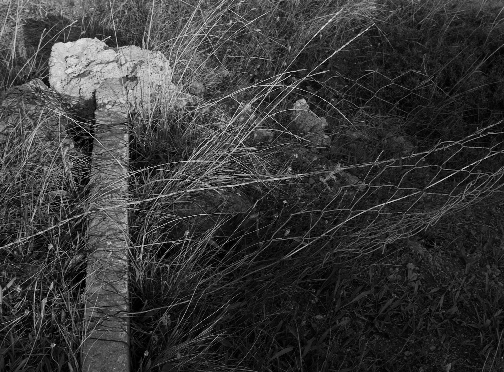 a fallen fence a little east of Kilyos