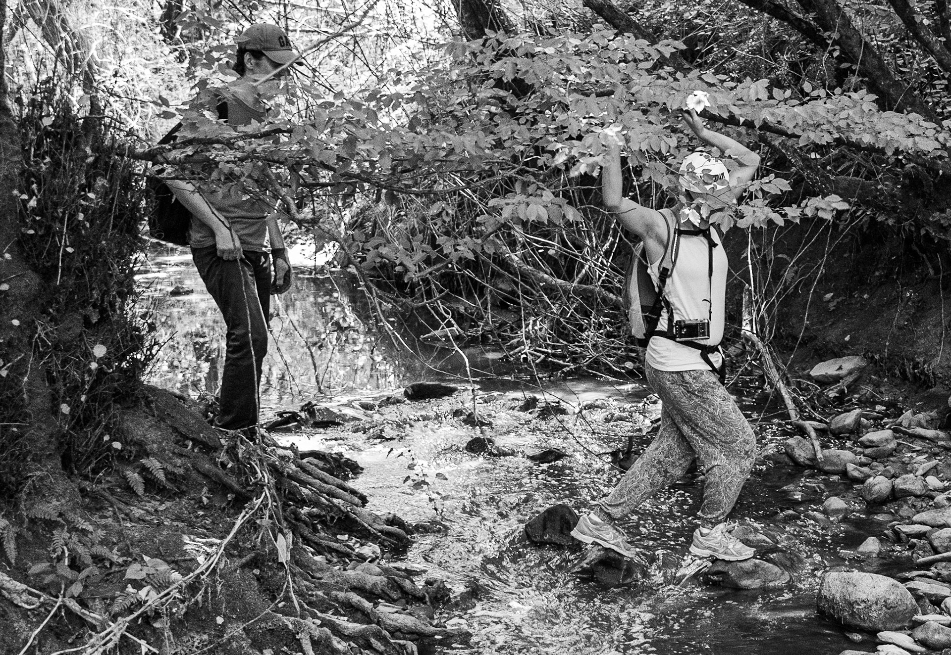Kanlı forest: crossing a stream