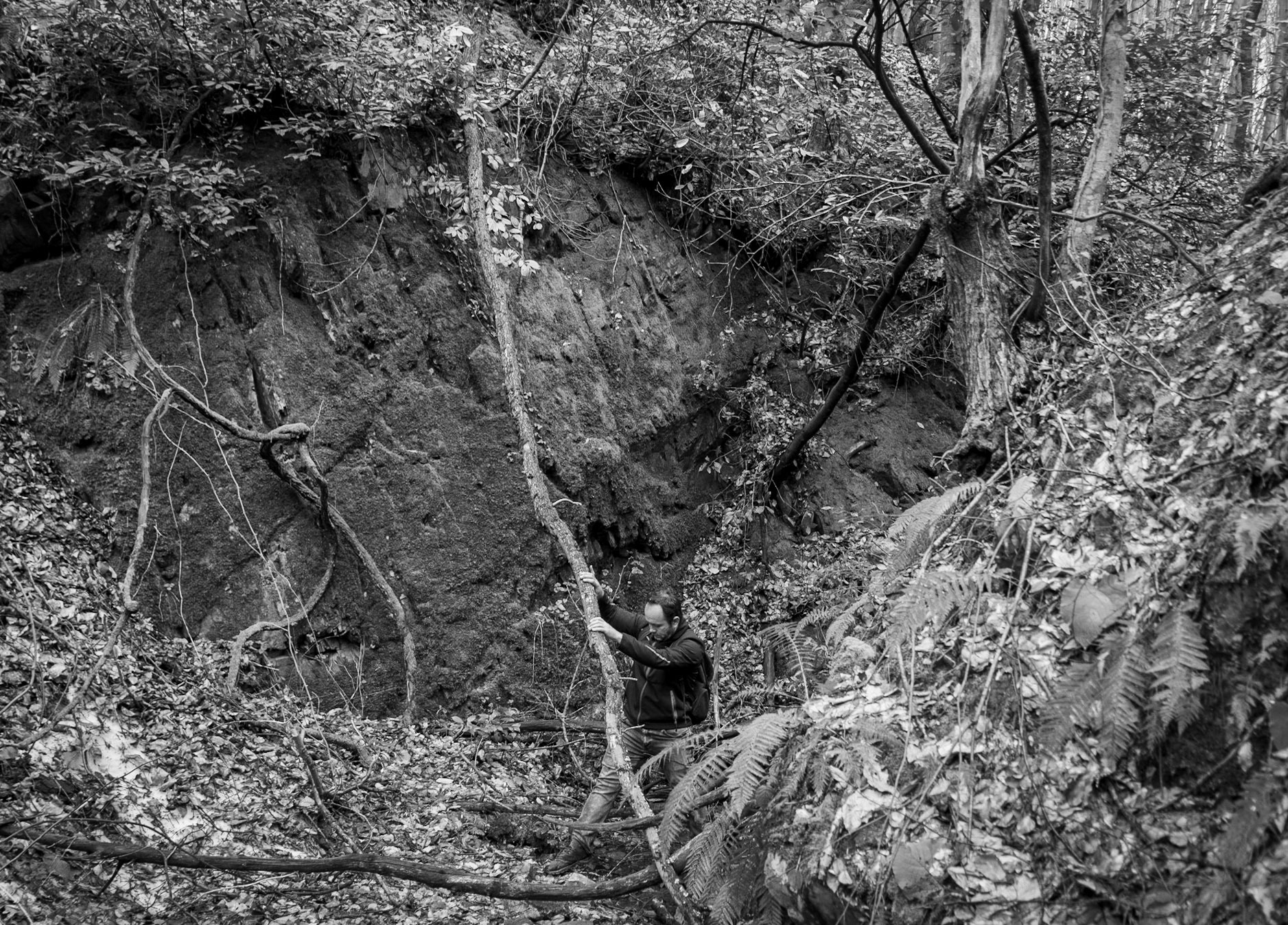 Polonezköy forests: rockface