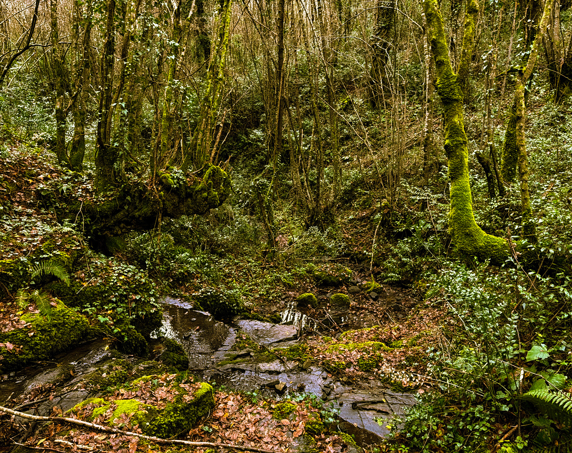 Ayhan Şahenk double stream walk: Middle Earth
