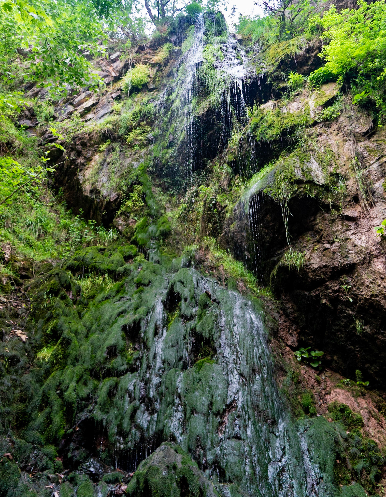 Şarlak waterfall: view
