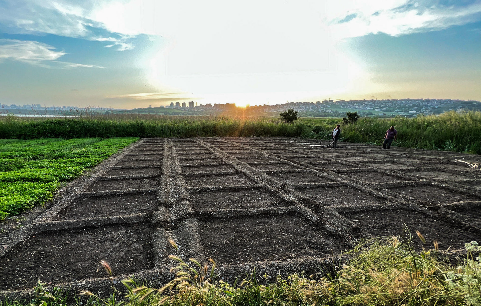 Yarımburgaz city farms: view west