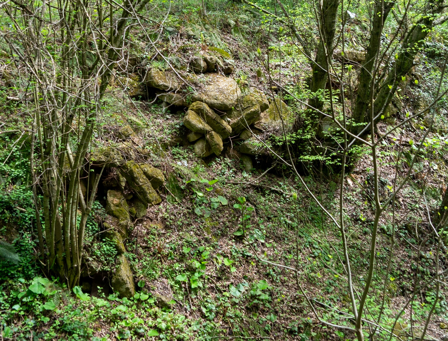 between Alemdaǧ and Reşadiye: rubble or rocks on a green slope