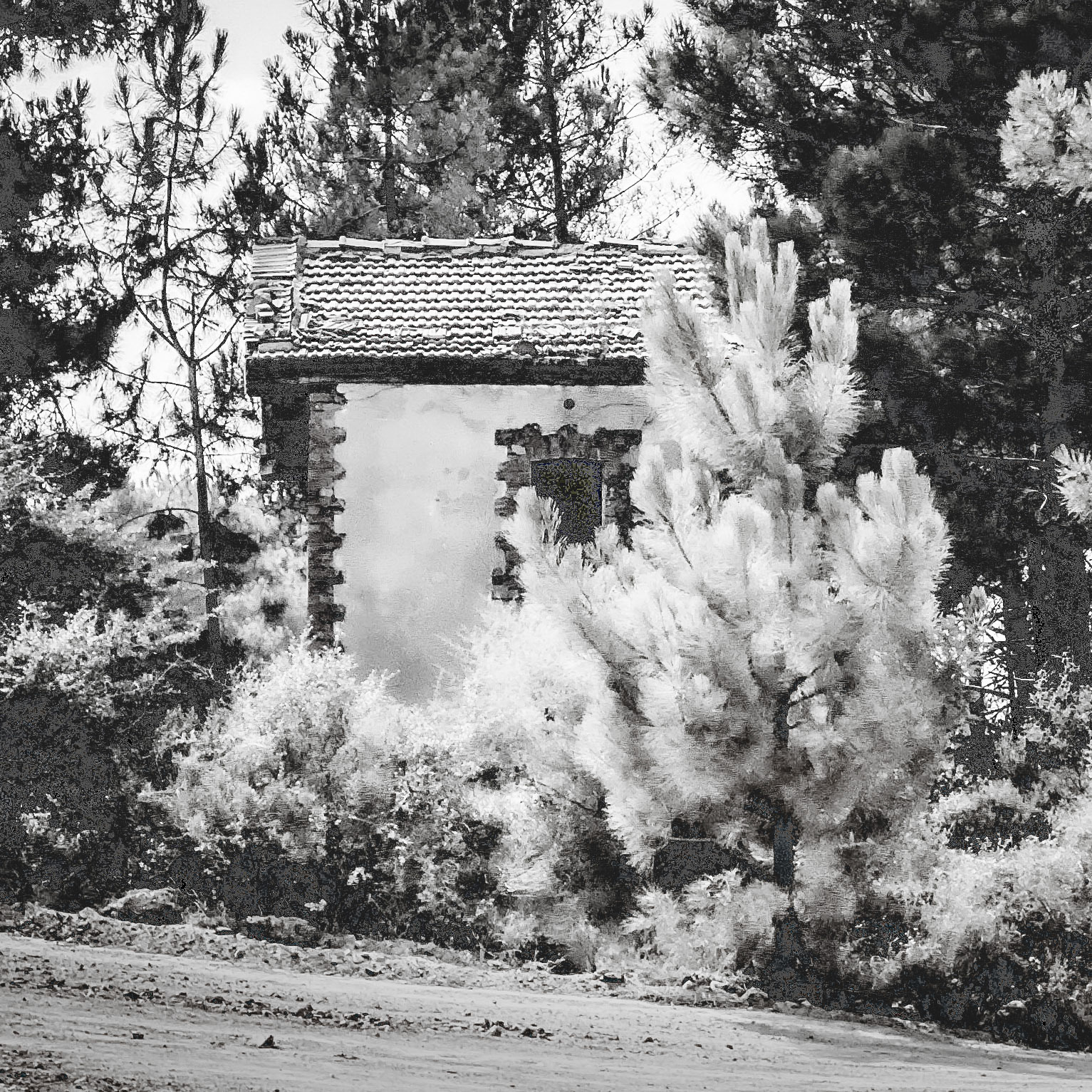 between Kurna quarry and the English Houses: lookout cottage