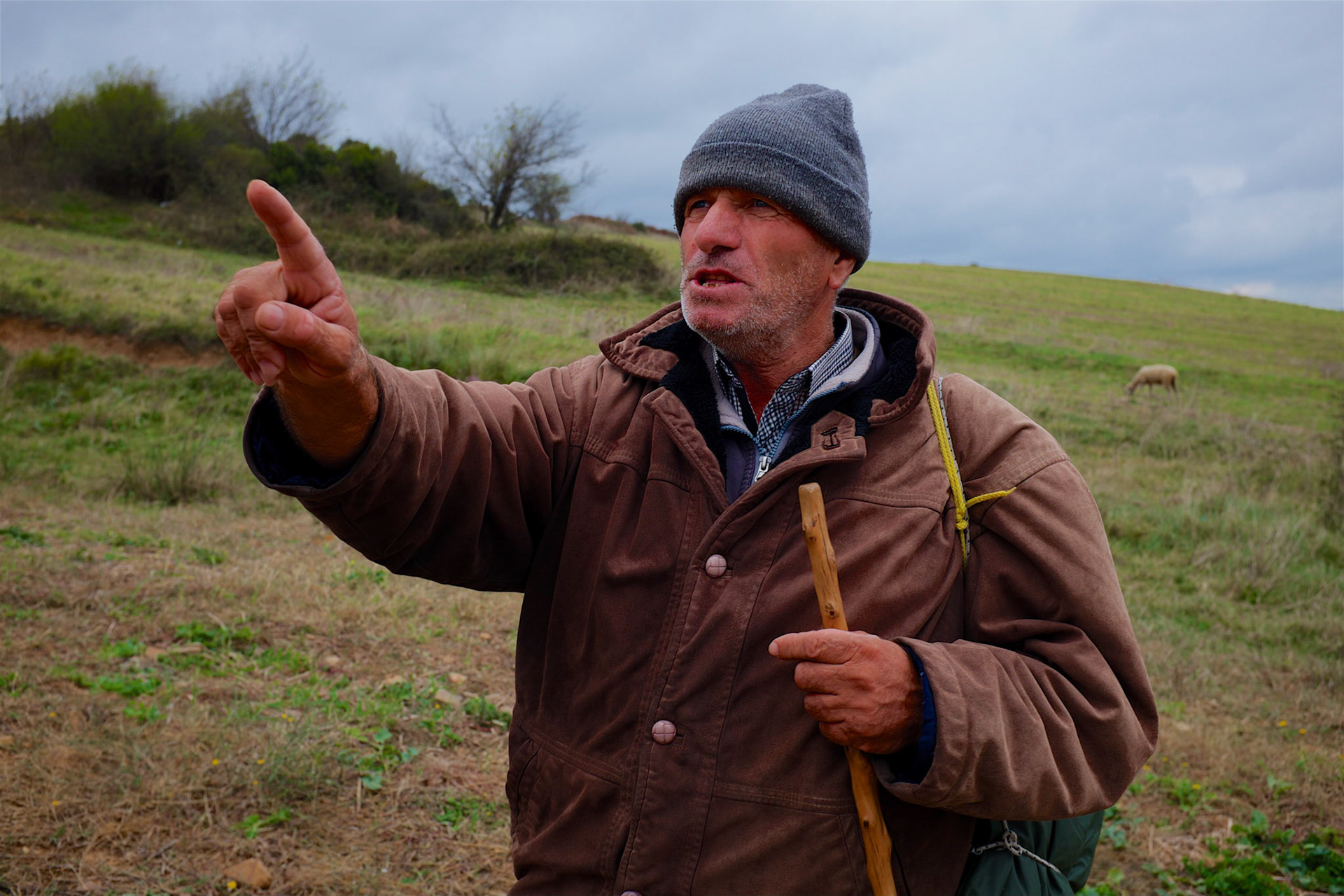 a kindly and informative (but that doesn't mean that the information was right) shepherd shortly before Paşaköy