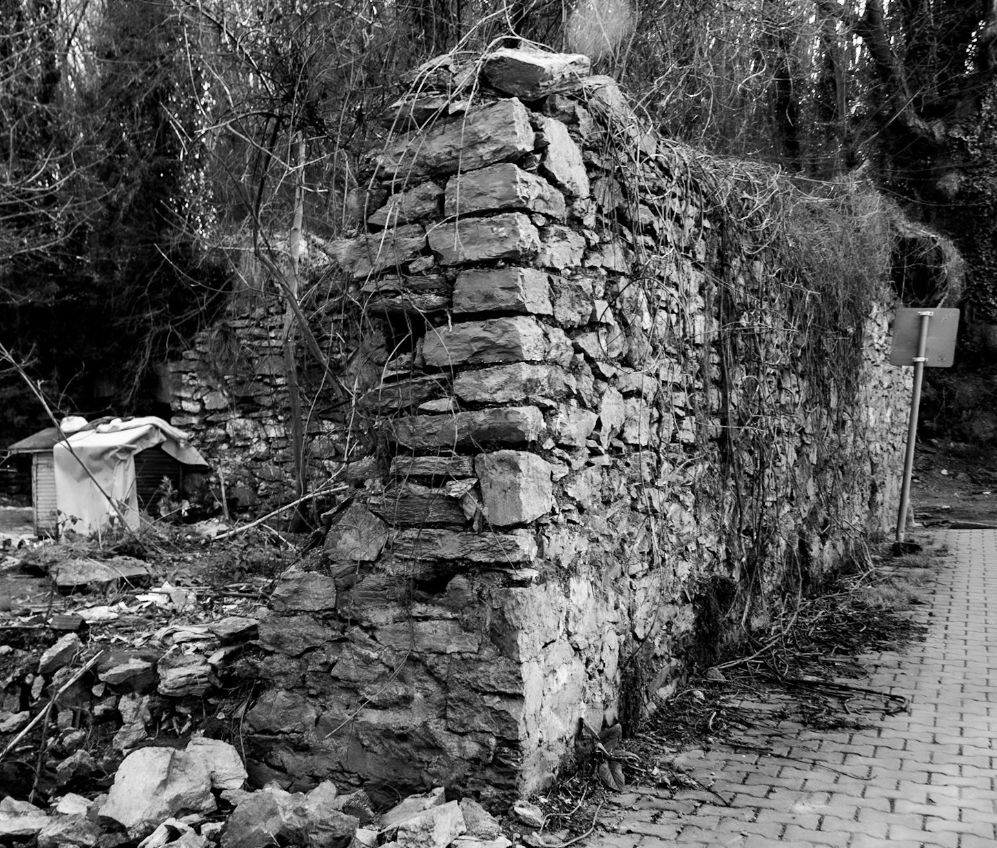 western Kirazlı wood: old structure on the northwestern corner