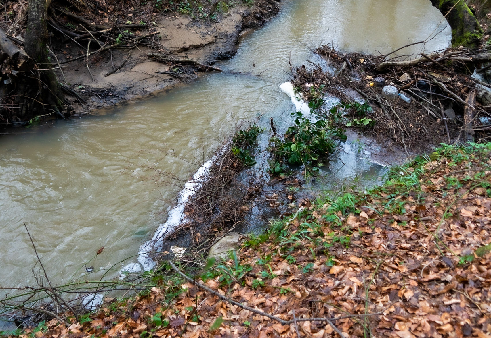 Kozu Deresi valleys: polluted water