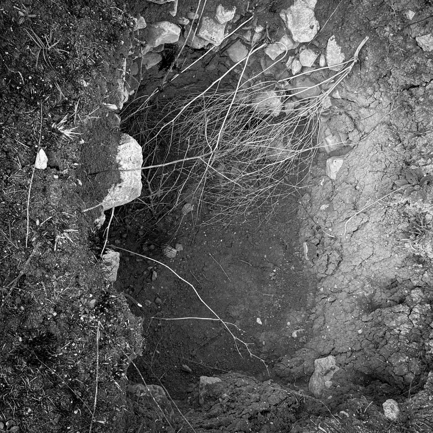 Küçükçekmece northwestern marsh: treasure hunters' pit